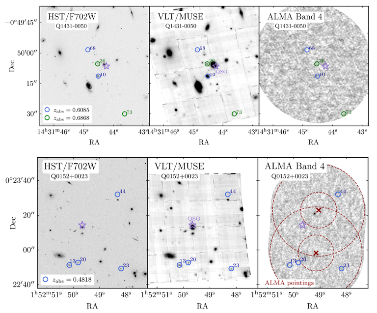 Peroux26_MUSE_ALMA_Haloes.png Peroux26_MUSE_ALMA_Haloes.png