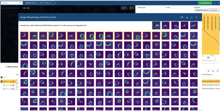 asa-news-iomage-22jan26.png asa-news-iomage-22jan26.png